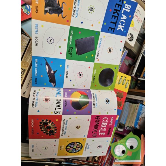 Száz kép szinekkel angolul - sok-sok matricával