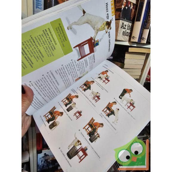 Kyra Sundance - Chalcy: 101 kutyatrükk