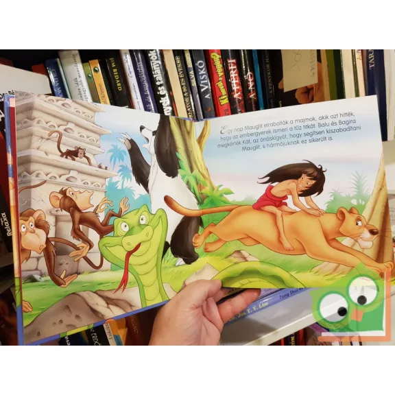 2 Klasszikus mese (Hamupipőke és Dzsungel könyve)