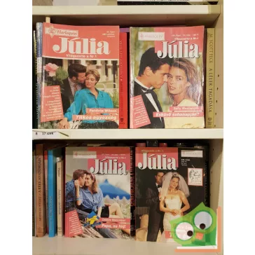 4 db-os Júlia füzet (64, 168, 180, 338)