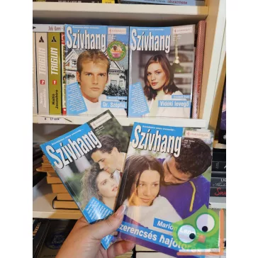 4 db-os Szívhang füzet (268, 220, 177, 181)