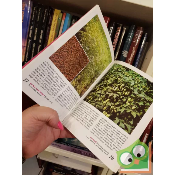 Akantisz Gézáné (szerk.): 88 színes oldal a fűszer- és gyógynövényekről