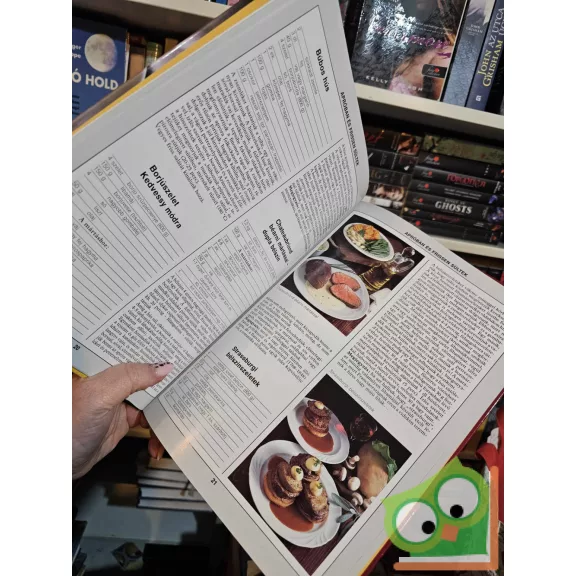 Lajos Mari - Hemző Károly: 99 pecsenye 33 színes ételfotóval