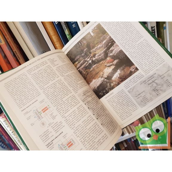 James Allison: Viz a kertben