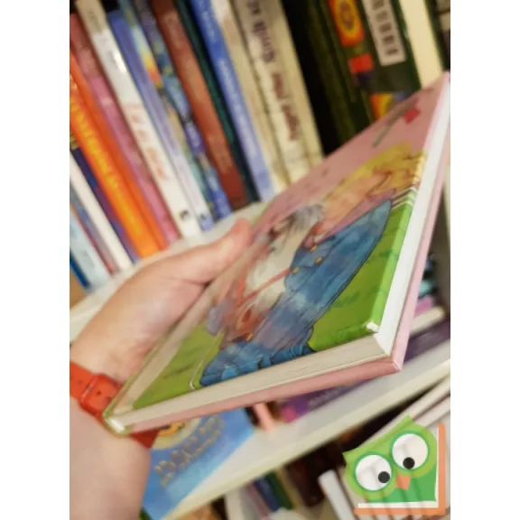 Sarah Bosse: Anna új barátja (Malomvölgyi lovaskalandok 4.)