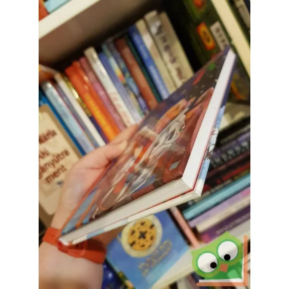 Sarah Bosse: Anna karácsonya (Malomvölgyi lovaskalandok 9.) (Ritka)