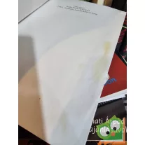 Vida Ágnes: Babapszichológia
