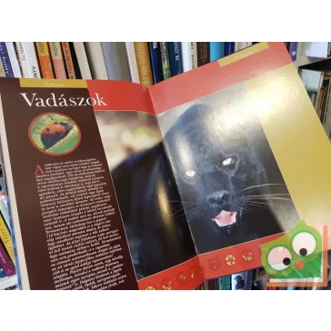 Barangolás a ragadozók világában