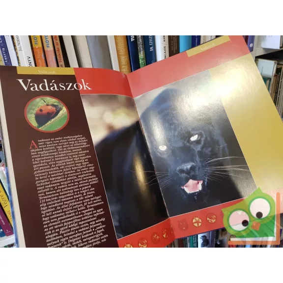 Barangolás a ragadozók világában