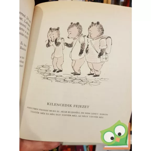 Bodó Béla: Brumi az iskolában