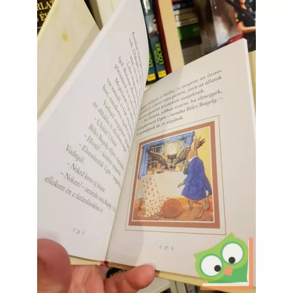 Alison Uttley: Bölcs Bagoly története (Ugri, a kis szürke nyúl)