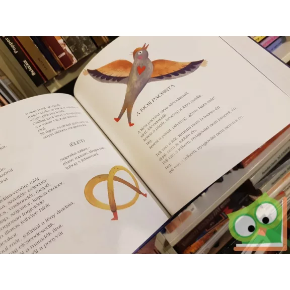 Buda Ferenc: Doromboló