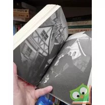   Soman Chainani: Rise of the School for Good and Evil (The School for Good and Evil 0.) Illustrated edition