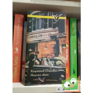 Raymond Chandler: Hosszú álom