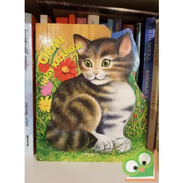 Cirmi nagy kalandja (Leparelló)