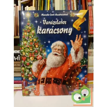 Varázslatos karácsony - Csoda a csillagos égen