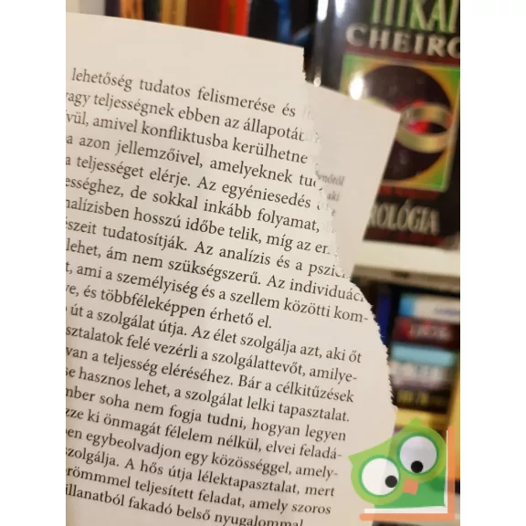 Nicholas C. Demetry: Az Arkangyalok gyógyító ereje