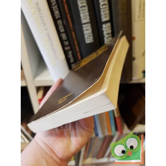 Dienes Zoltán: Épitsük fel a matematikát