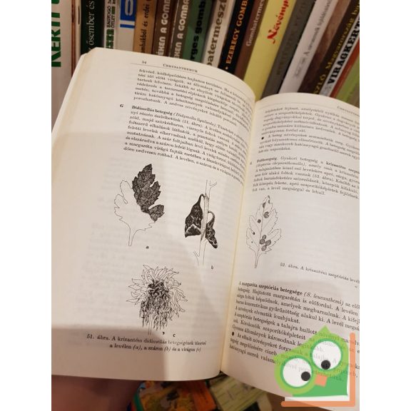 Martinovich Valér, Folk Győző: Dísznövények gyógyítása