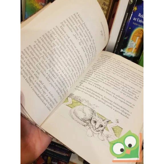 Dornbach Mária (szerk.) , Ágai Ágnes (szerk.): Göndörű nyírfácska, Orosz versek és mesék gyerekeknek