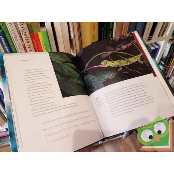 John Downer: Furcsa természet