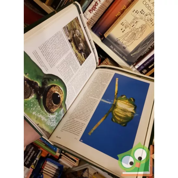 Élővilág enciklopédiája - A Kárpát medence állatai (Élővilág enciklopédia I.) (Ritka)