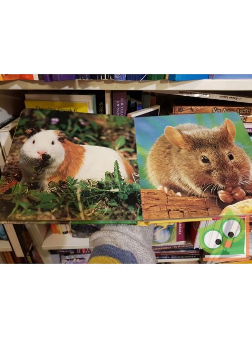 Első képeskönyvem - Az állatok