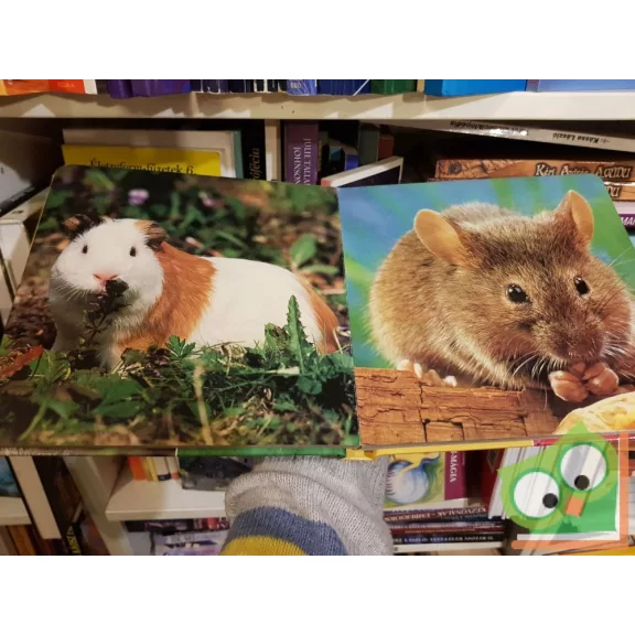 Első képeskönyvem - Az állatok