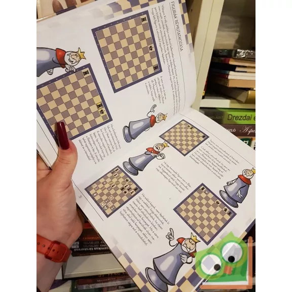 Géczi Zoltán, Halász Ferenc: Első sakk-könyvem - Te is lehetsz bajnok!