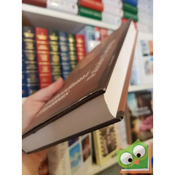 Faludy György: Rotterdami Erasmus