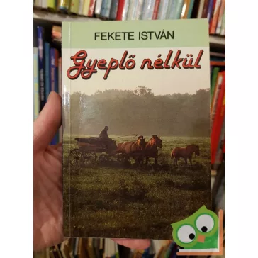 Fekete István: Gyeplő nélkül