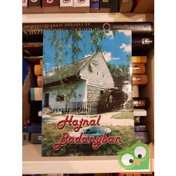 Fekete István: Hajnal Badányban