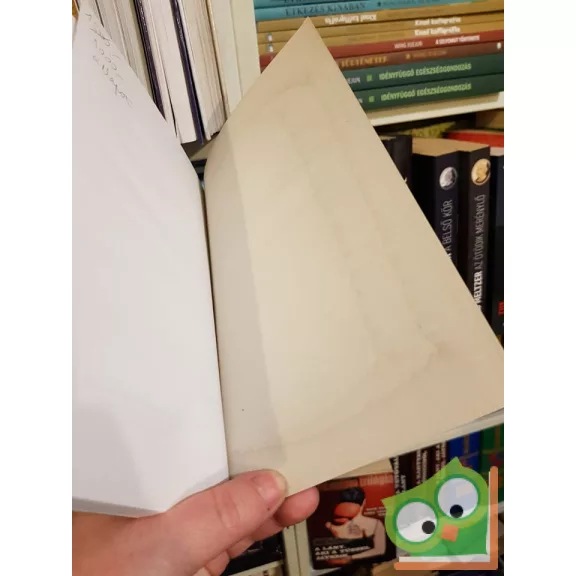 Fekete István: Hajnal Badányban