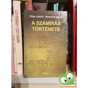 Filep László, Bereznai Gyula A ​számírás története