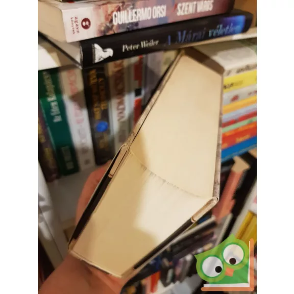 Ken Follett: Az idők végezetéig 