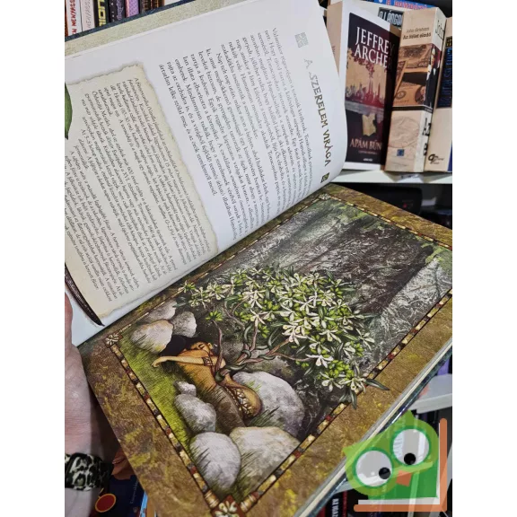 Fráter Erzsébet: Erzsébet királyné esete a rozmaringgal és más növényes mesék