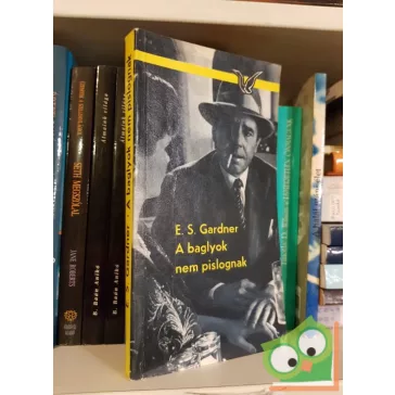 Erle Stanley Gardner: A baglyok nem pislognak