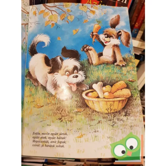 Gárdonyi Géza: A kuty a meg a nyúl (Füzesi Zsuzsa rajzaival)
