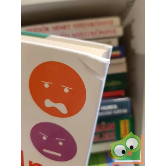 Claudia Hammond: Érzelmi hullámzások - Utazás az érzelmek birodalmában