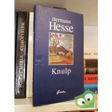 Hermann Hesse: Knulp