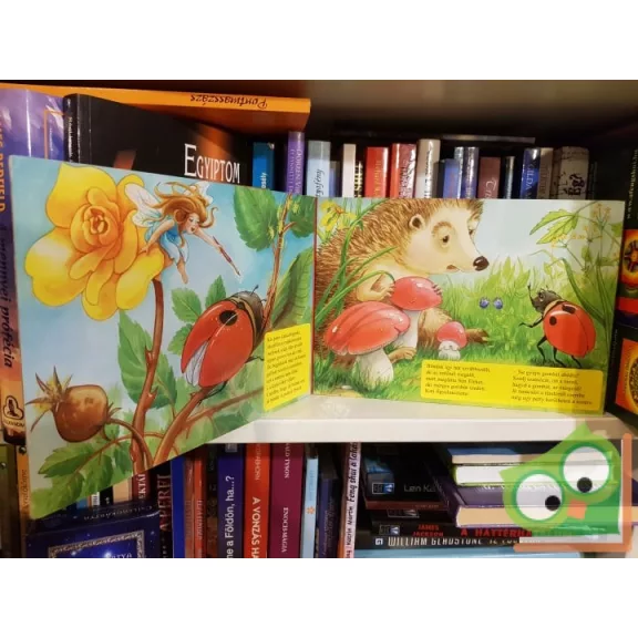 Hétpecsétes katica (Leparelló)