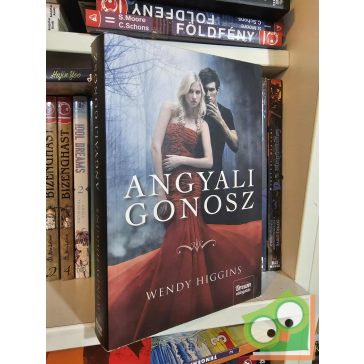 Wendy Higgins: Angyali gonosz (Sweet Evil 1.) (ritka)