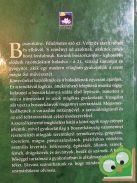 Eileen Holland: Boszorkánypraktikák - A mágia ősi művészetének gyakorlása (Ritka)