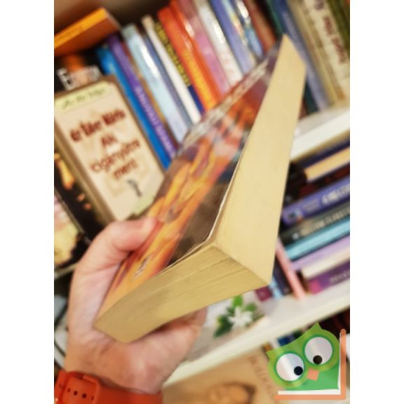 Heribert Illig, Klaus Weissgerber: Magyarok a kitalált középkorban - Újrairt történelem