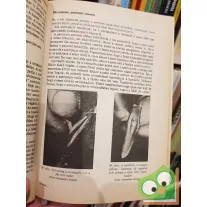   Jeszenszky Árpád: Oltás, ​szemzés, dugványozás (KHO sorozat)