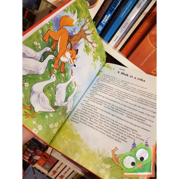 Kedvenc meséim - Füzesi Zsuzsa rajzaival