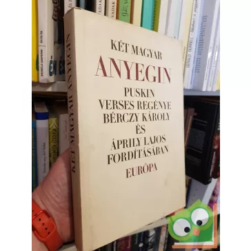 Puskin: Két magyar Anyegin