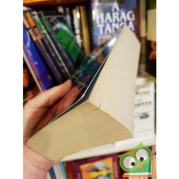 Stephen King: A setét torony (A setét torony 7.)