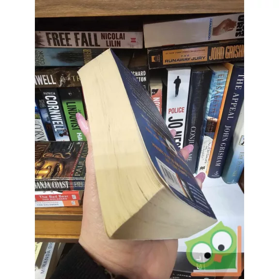 Stephen King: Just After Sunset