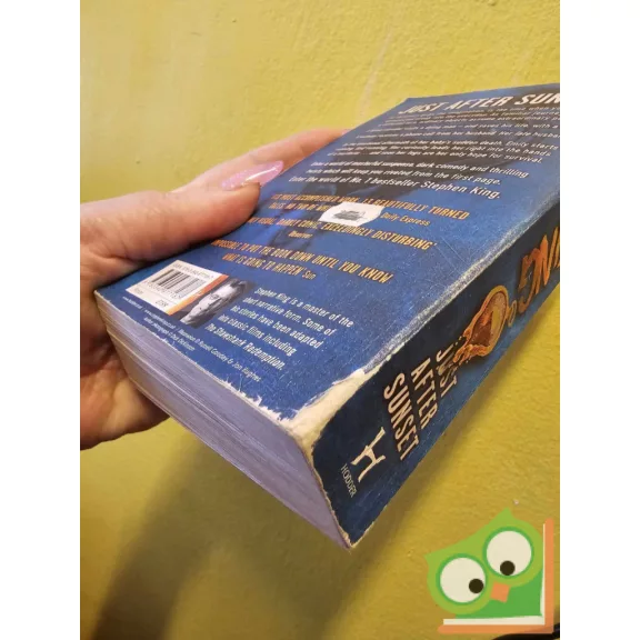 Stephen King: Just After Sunset